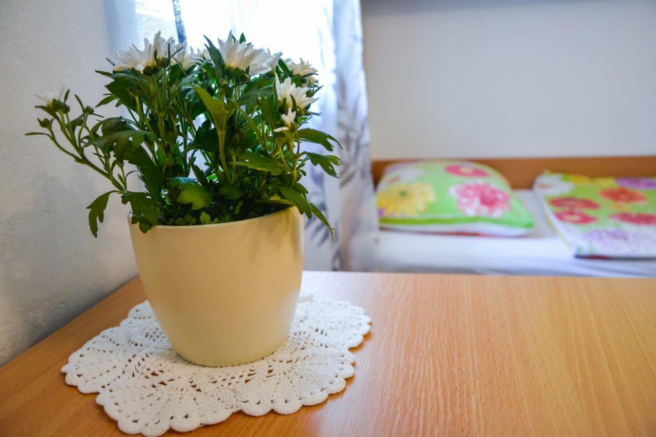 Homestay Rosalia リュブリャナ エクステリア 写真