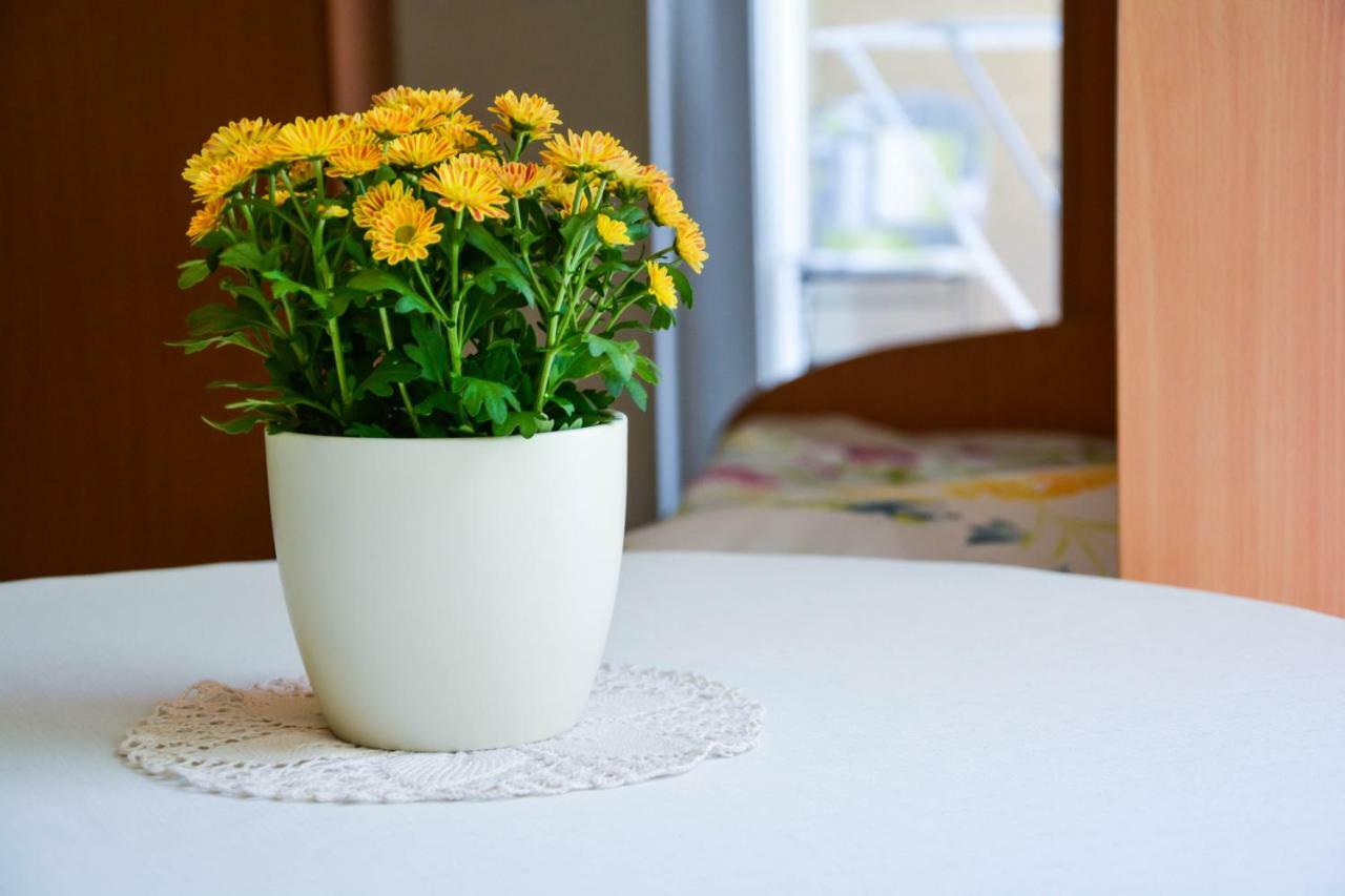 Homestay Rosalia リュブリャナ 部屋 写真